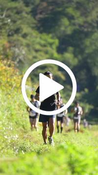 BIB:  <button type="button" onclick="openModal(26576279)" class="btn btn-primary btn-sm float-right" data-toggle="modal" data-target=".modal-high-quality">
                <i class="fa fa-download"></i> Download
                </button>